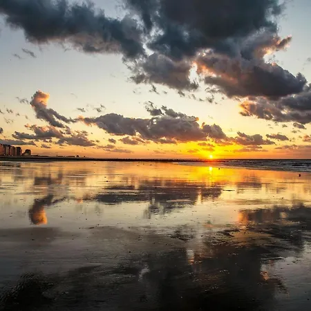 For 5 People With Sea View * Middelkerke